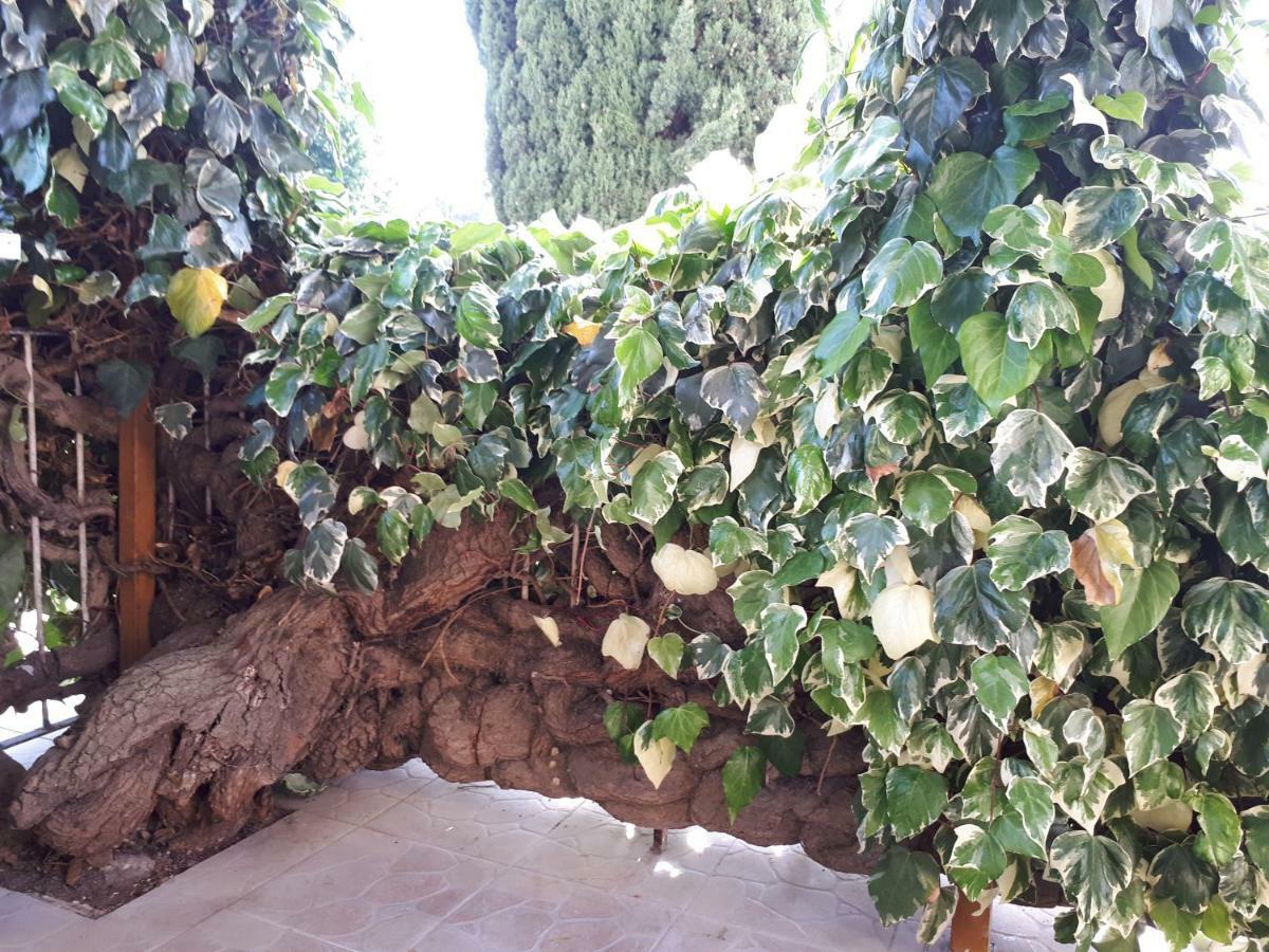 La Mia Resilienza Nei Sassi Di Matera Hotel Bagian luar foto